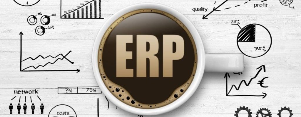 An image of all the core concepts ERP consultants help businesses understand about ERP implementation